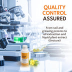 Restoration and Renewal Eye Cream – Evening Primrose Plant Based - Under Eye Cream for All Skin Types, Hydrating Eye Cream, Eye Wrinkle Cream for Women & Men - 30ml