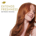 Dove Dry Shampoo for 2 Count for Oily Hair Volume & Fullness for Refreshed Hair 5 oz