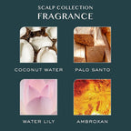 Kristin Ess Anytime Anywhere Scalp + Hair Milk Oil, Hydrating for Damaged Hair, infused with Coconut Oil and Jojoba Oil, Castor Oil for Hair Growth