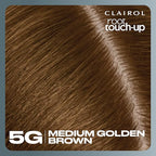 Clairol Root Touch-Up by Nice'n Easy Permanent Hair Dye, 5G Medium Golden Brown Hair Color, Pack of 2