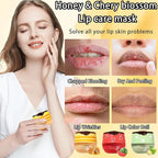 3 Pcs Bee Lip Balm Honey Pot with Stick,Moisturizing Lip Mask Overnight,Day and Night Tinted Sleeping Lip Balm,Hydrating Lip Scrubs Exfoliator & Moisturizer
