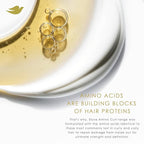 Dove Hair Amino Curl Repair 10in1 Cream Mask for Curly, Coily Hair with Bio Protein Care Technology and Amino + Jojoba Oil 9.2 fl oz.