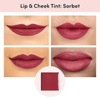 billion dollar brows Lip & Cheek Tint - Pigment