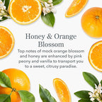 Beekman 1802 Whipped Body Cream, Honey & Orange Blossom - Scented - 8 oz - Intensely Hydrating & Softens Skin - With Goat Milk - Good for Sensitive Skin - Cruelty Free