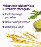 Not Your Mother's Naturals Superior Strength Shampoo & Conditioner Set - 15.2 fl oz - Sulfate-Free Hair Products - Rice Water & Himalayan Moringa