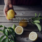 Farmstead Apothecary 100% Natural Anti-Aging Face Cream with Jojoba Oil, 4 oz (Lemon Lavender)