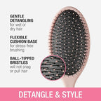 Conair Detangling Hair Brush 3PK - For wet and dry hair - curly hair brush - hair brushes for women - detangler brush - hair brushes for women - Evergreen, Blush Pink, Black Assorted
