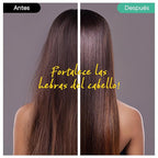 Ginger Shampoo Bar 2.0 - Hydrating & Moisturizing Natural Hair Soap Bar Shampoo for Hair Vitality & Scalp Nourishment - Bathing Soap Solid Shampoo for All Hair Types (120g, 4.23oz)