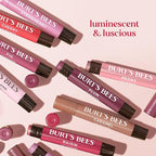 Burt's Bees Shimmer Lip Tint Set, Tinted Lip Balm Stick, Moisturizing for All Day Hydration with Natural Origin Glowy Pigmented Finish & Buildable Color, Caramel (4-Pack)