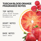 Pacifica Beauty, Wanderlust Spray Perfume Trial Set, Island Vanilla, 5 Scents, Fragrance Sampler Gift Set, Natural & Essential Oils, Clean, Vegan & Cruelty Free