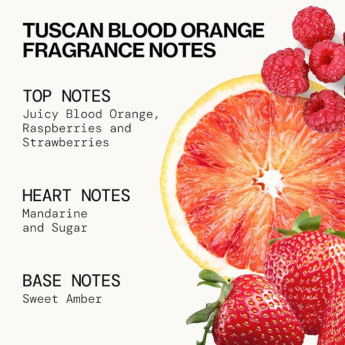 Pacifica Beauty, Wanderlust Spray Perfume Trial Set, Island Vanilla, 5 Scents, Fragrance Sampler Gift Set, Natural & Essential Oils, Clean, Vegan & Cruelty Free