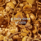 Addison Rae Fragrance - Fragrance for Women - Floral Woody Scent - Opens with Pear Blossom and Apple - Blended with Red Lemon Grass - Alluring Aroma Calms and Relaxes - 1 oz EDP Spray