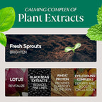 Blessing of sprout wrinkle-away eye