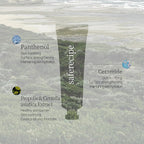 PESTLO Safe Recipe Sun Essence SPF 50+ PA++++ 1.69 Fl Oz 100% Mineral - Korean Sunscreen, Non-greasy, Light-weight, Dual-Function, Moisturizing Sunblock