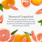 Beekman 1802 Whipped Body Cream, Honeyed Grapefruit - Scented - 8 oz - Intensely Hydrating & Softens Skin - With Goat Milk - Good for Sensitive Skin - Cruelty Free
