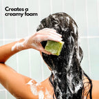 SoapFactory Organic Solid Shampoo Bar for thinning Hair, Hair Soap with Aloe Vera for Men and Women, 100% Natural, Vegan, Handmade, Plastic Free, 3 ounce (Pack of 3)