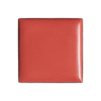 billion dollar brows Lip & Cheek Tint - Pigment