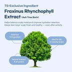 TS GD Shampoo for Boys | Korean Teen Shampoo with Upgraded Probiotics | Anti-Dandruff & Itchy Scalp Relief | Blue Fresh Allergy-Free Fragrance | Sulfate-Free (13.5 fl oz, 400ml)