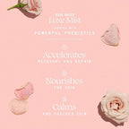 Aleavia Organic Rose Water Spray for Face - All-Natural, Hydrating Luxe Face Mist and Toner - Nourishing and Anti-Aging Prebiotic Formula for All Skin Types - Vegan & Cruelty-Free - 4 oz (118 ml)