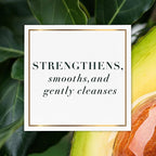 Herbal Essences Avocado & Argan Oil Sulfate Free Shampoo, 13.5 fl oz (Pack of 2)