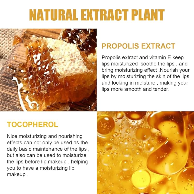 4 Pcs Lip Balm Honey Pot,
