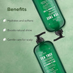 Botanic Hearth Tea Tree Shampoo And Conditioner Set | With 100% Pure Tea Tree Oil, For Itchy And Dry Scalp, Sulfate/Paraben Free | For Men And Women | 16 Fl Oz Each