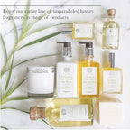 Antica Farmacista Hand Wash -Lemon, Verbena & Cedar, 10 Fl Oz (Pack of 1)
