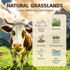 Vigority Beef Tallow and Honey Balm: Organic Grass Fed Whipped Beef Tallow for Skin - Beef Tallow Face Moisturizer Infused with Manuka Honey, Beeswax and Olive Oil - 2 oz, Unscented