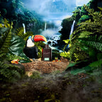 Dr. Squatch Natural Cologne for Men - Scent-Lock Technology and Sustainably-Sourced Ingredients - Rainforest Mist Cologne (1.7 fl oz)