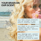 Pacifica Hair Perfume & Body Fragrance Spray Mist - Dream Moon with Vanilla, Almond & Spices – Alcohol-Free, Vegan & Cruelty-Free, 6.5 oz