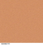 COVERGIRL Trunaked Quad Eyeshadow Palette, Glamping, Desert Glamping, 0.06 Ounce (Pack of 2)