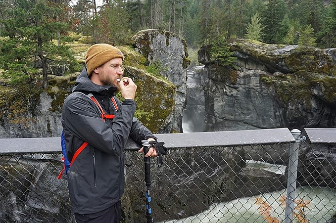 All Good Organic Lip Balm for Soft Smooth Lips - Calendula, Lavender, Olive Oil, Beeswax, Vitamin E | (Original) (3-Pack)