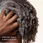 Carol's Daughter Black Vanilla Moisture Sulfate Free Shampoo for Curly, Wavy or Natural Hair, Moisturizing Hair Care for Dry, Damaged Hair, 12 Fl Oz