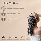 Botanic Hearth Argan Shampoo, Hydrating & Volumizing, Sulfate & Paraben Free, All Hair Types & Color Treated Hair, Men and Women 16 fl oz