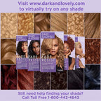 SoftSheen-Carson Dark and Lovely Fade Resist Rich Conditioning Hair Color, Permanent Hair Color, Up To 100 percent Gray Coverage, Brilliant Shine with Argan Oil and Vitamin E, Sun Kissed Brown